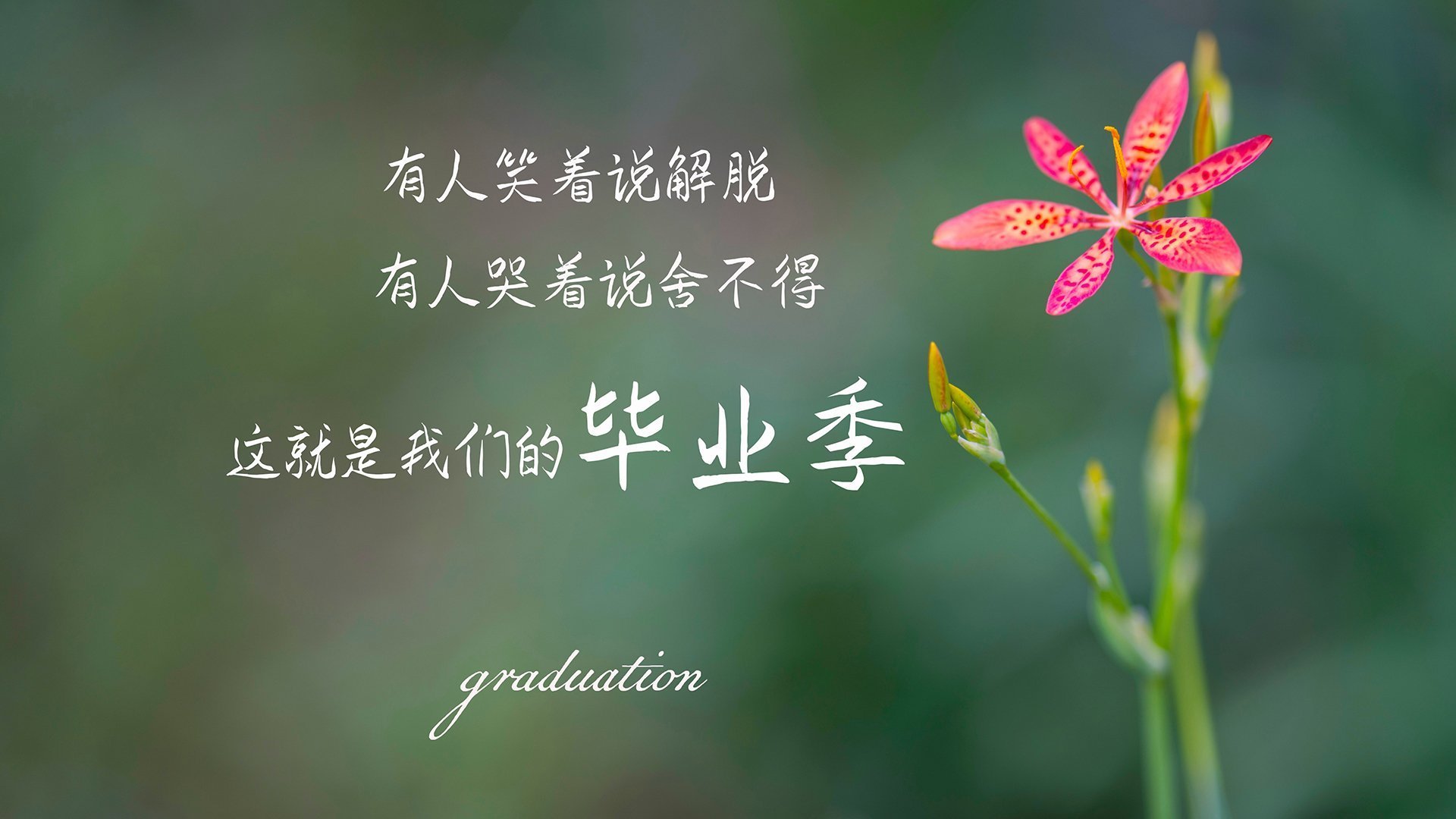 开云官方-《守望先锋世界巡回赛，战术布局层层递进》，守望先锋世界比赛