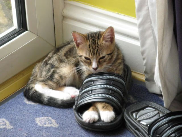 开云体育-【防守反击】马克·塞尔比的“铁墙”战术策略拆解，马克·塞尔比的球风