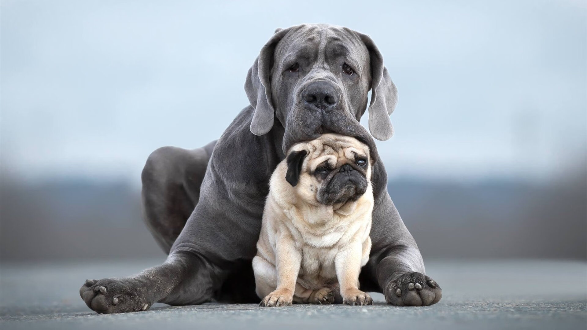 开云·体育官网-中国篮球职业联赛引入新规则，提升比赛观赏性，我国篮球职业联赛